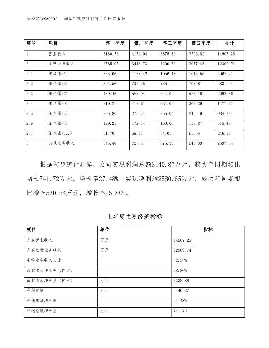 细丝钳建设项目可行性研究报告（word下载可编辑）_第5页