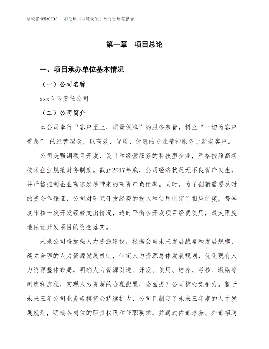 羽毛球用品建设项目可行性研究报告（word下载可编辑）_第4页