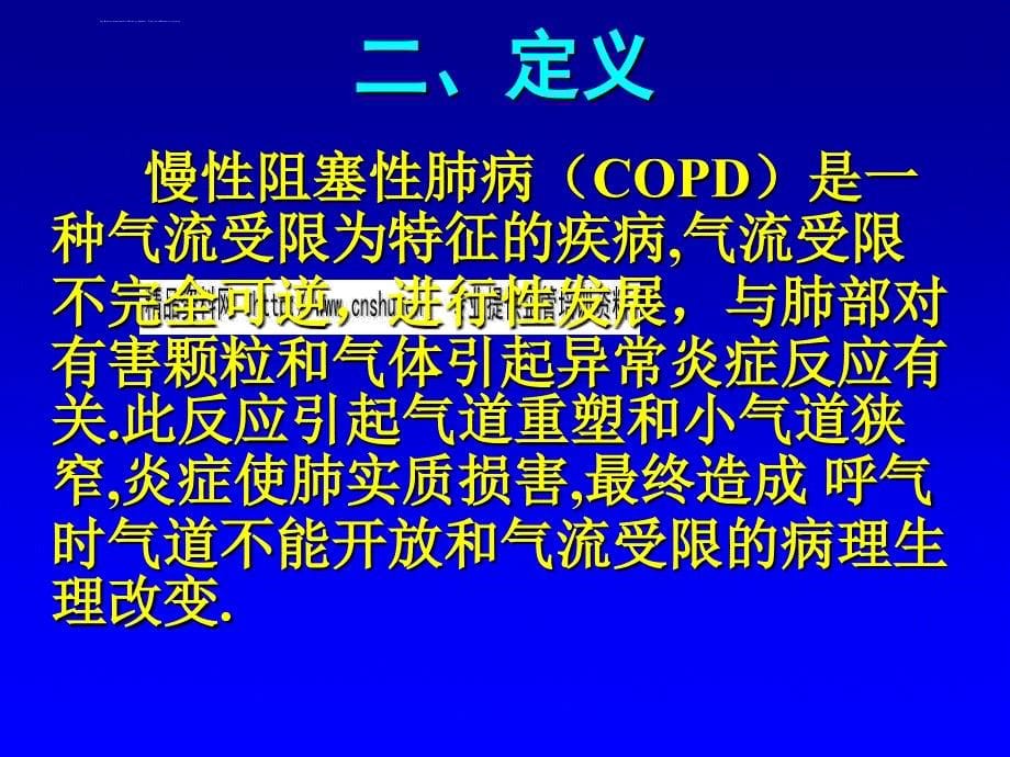 慢性阻塞性肺疾病概述.ppt_第5页