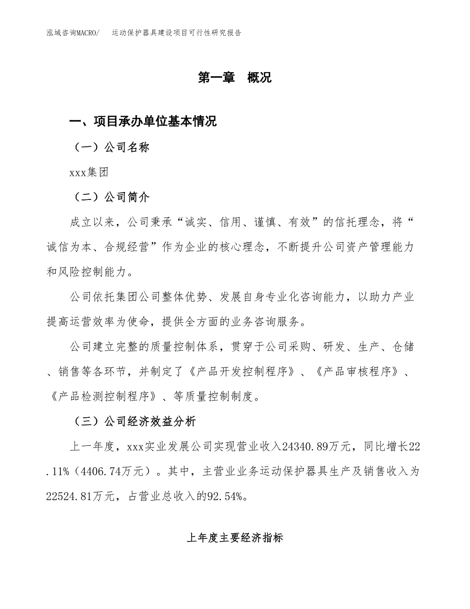 运动保护器具建设项目可行性研究报告（word下载可编辑）_第4页