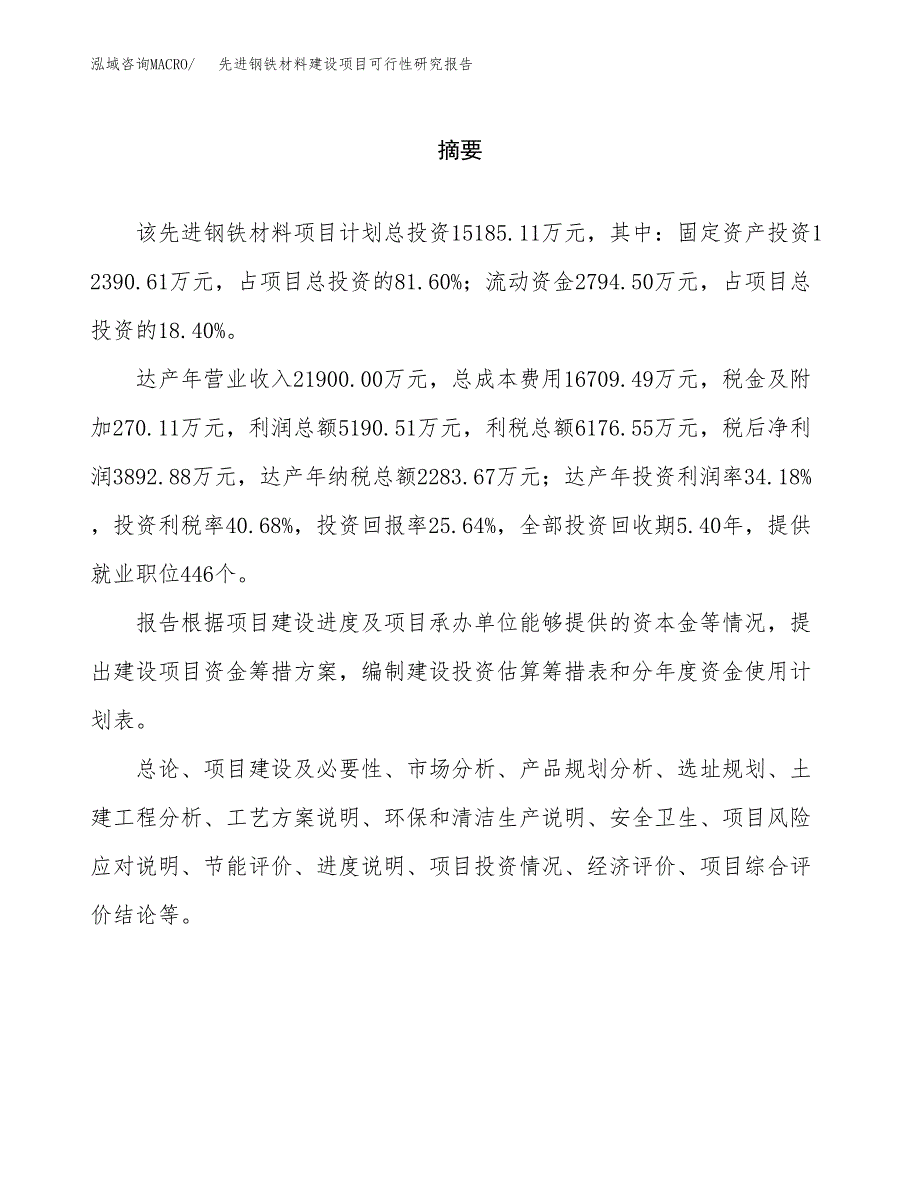 先进钢铁材料建设项目可行性研究报告（word下载可编辑）_第2页