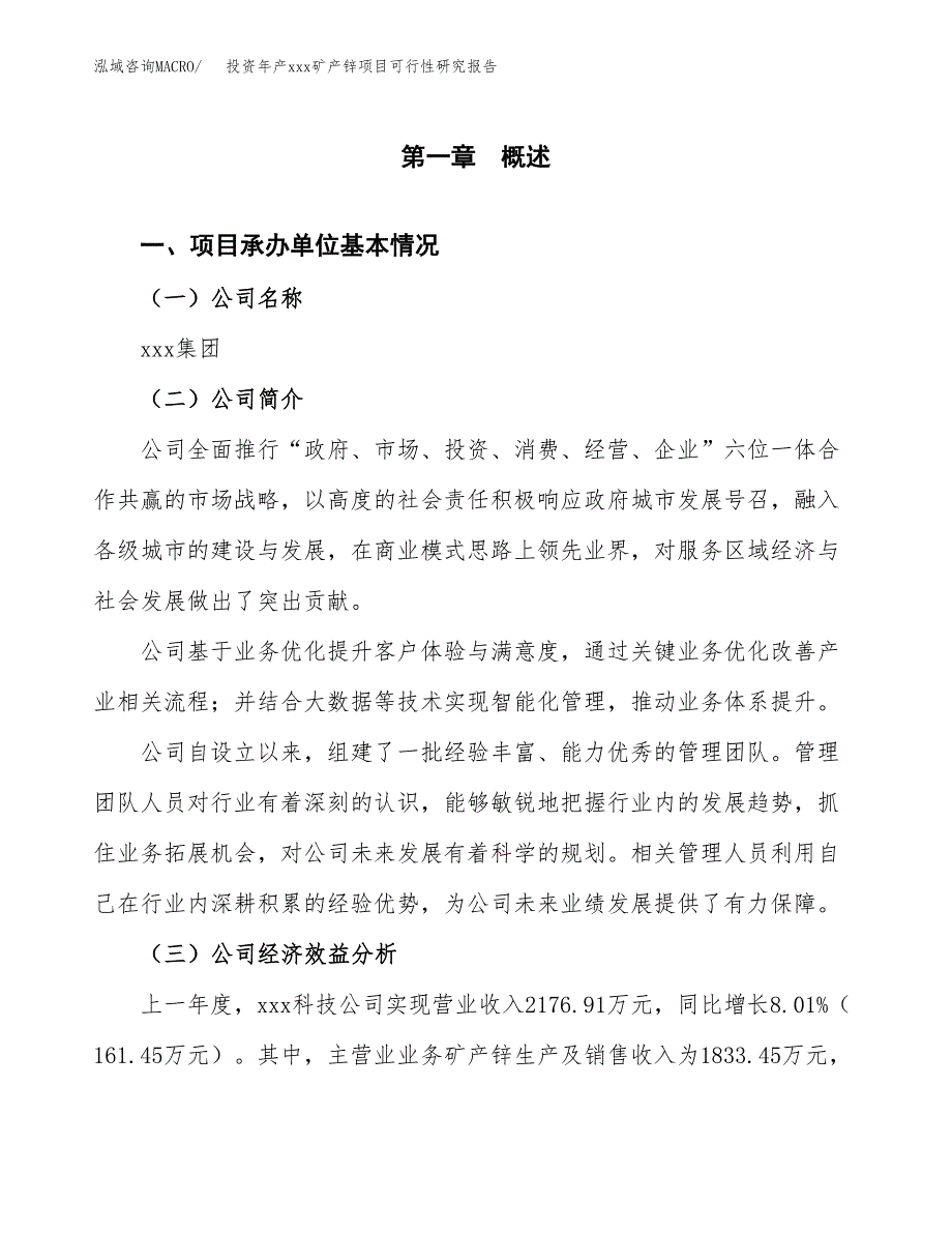 投资年产xxx矿产锌项目可行性研究报告_第4页