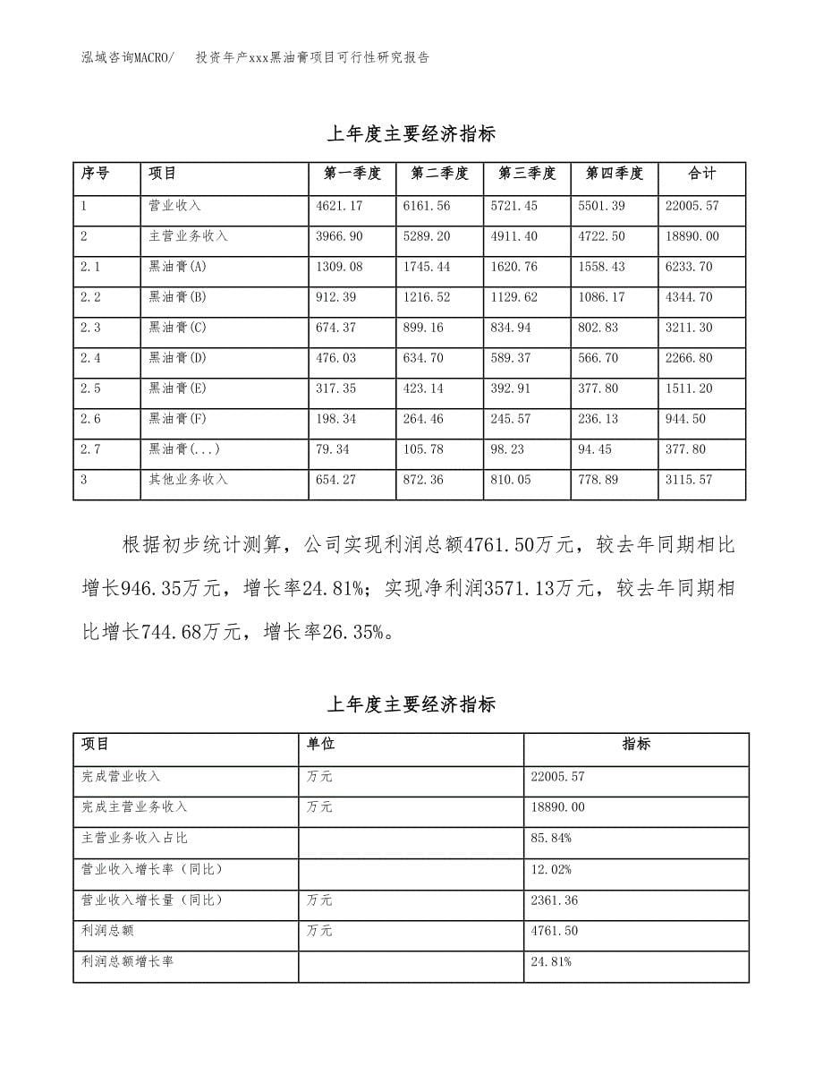 投资年产xxx黑油膏项目可行性研究报告_第5页