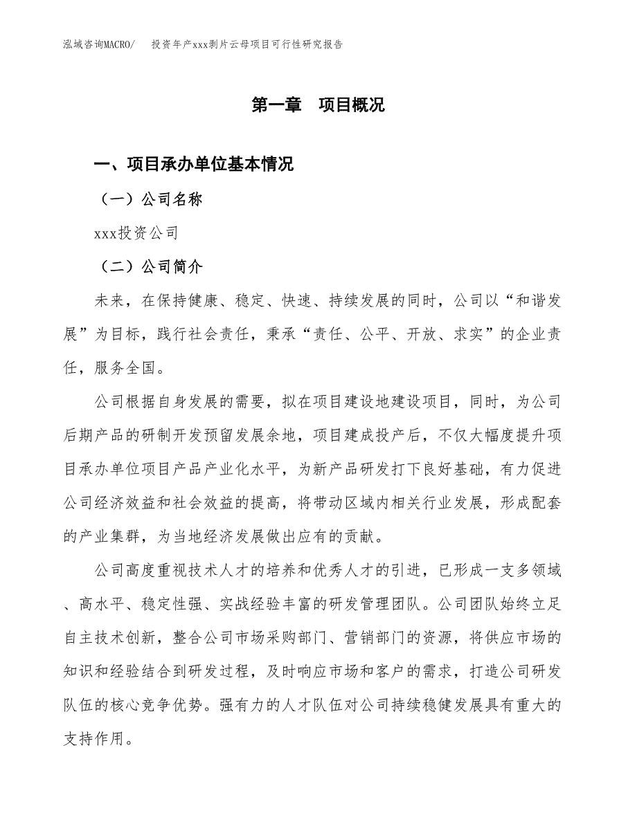 投资年产xxx剥片云母项目可行性研究报告_第4页