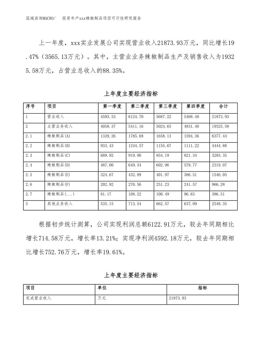 投资年产xxx辣椒制品项目可行性研究报告_第5页