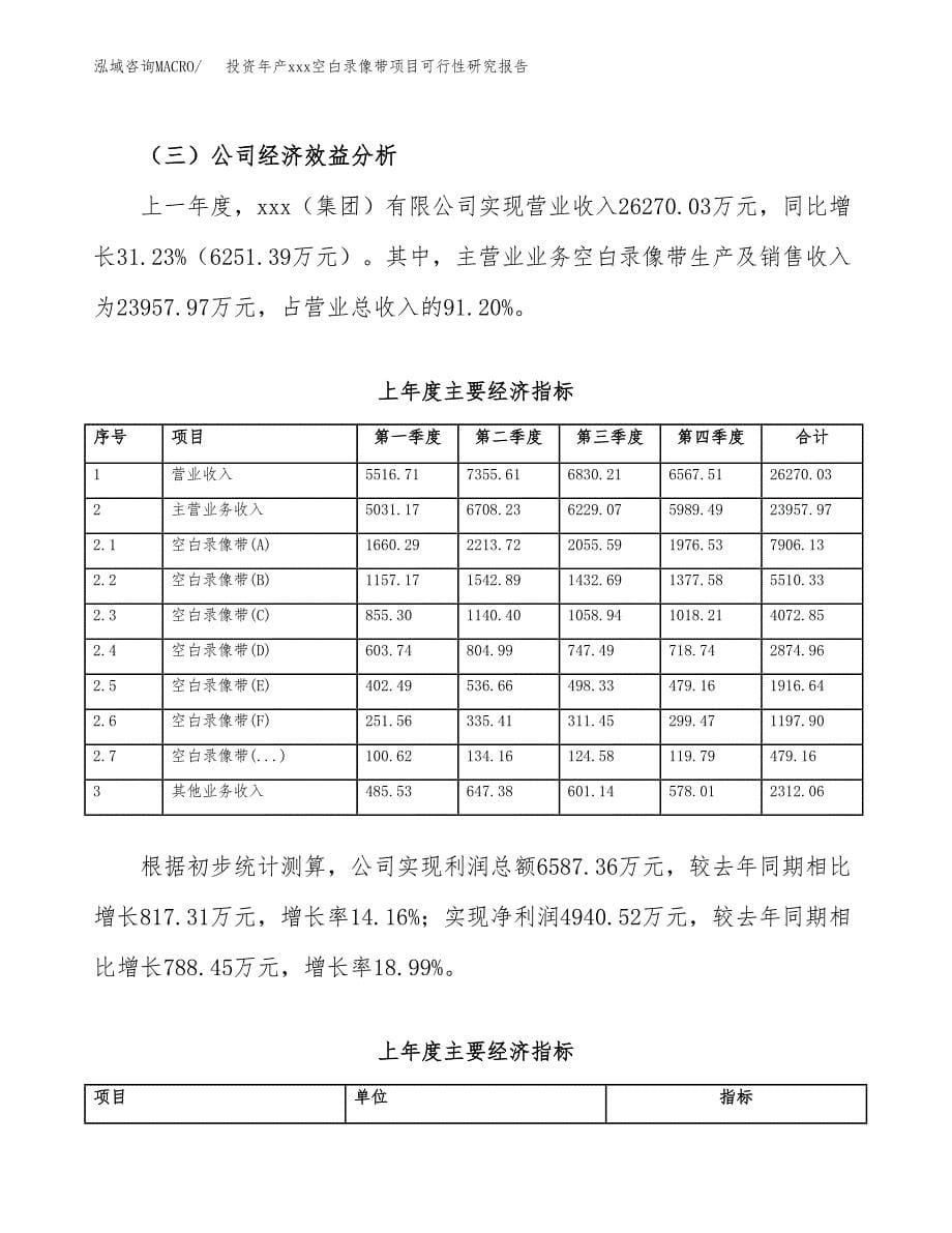 投资年产xxx空白录像带项目可行性研究报告_第5页