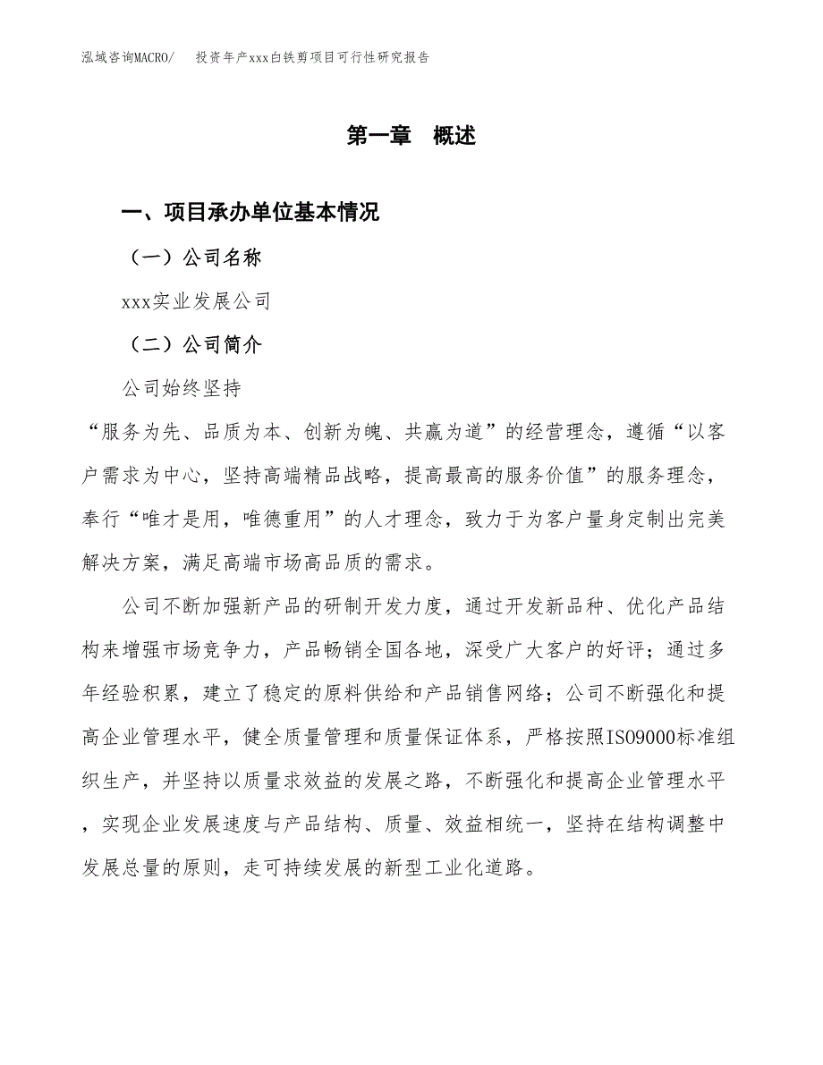 投资年产xxx白铁剪项目可行性研究报告_第4页