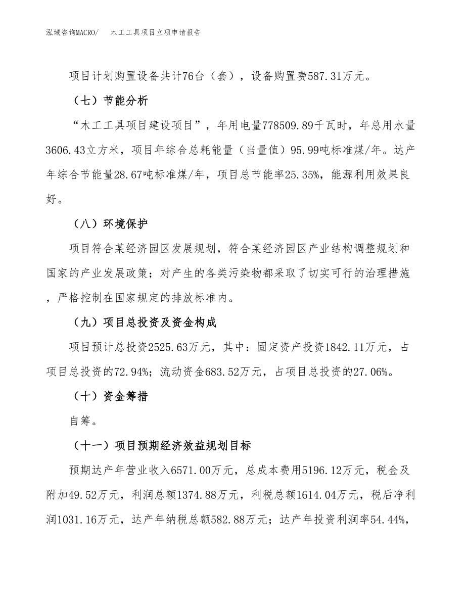 木工工具项目立项申请报告(word可编辑).docx_第5页