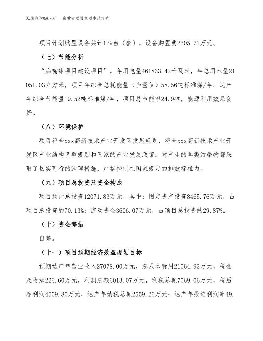 扁嘴钳项目立项申请报告(word可编辑).docx_第5页