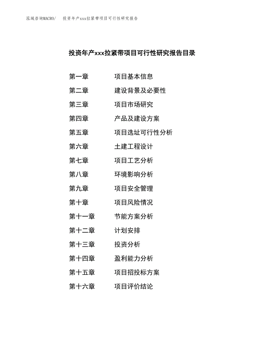 投资年产xxx拉紧带项目可行性研究报告_第3页