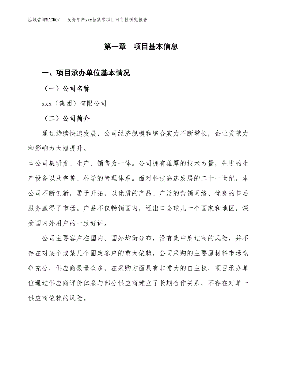 投资年产xxx拉紧带项目可行性研究报告_第4页