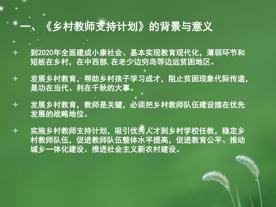 乡村教师计划.综述_第3页