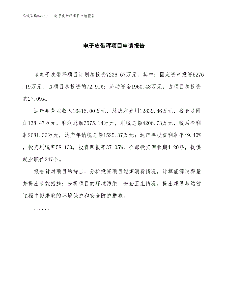 电子皮带秤项目申请报告(word可编辑).docx_第2页