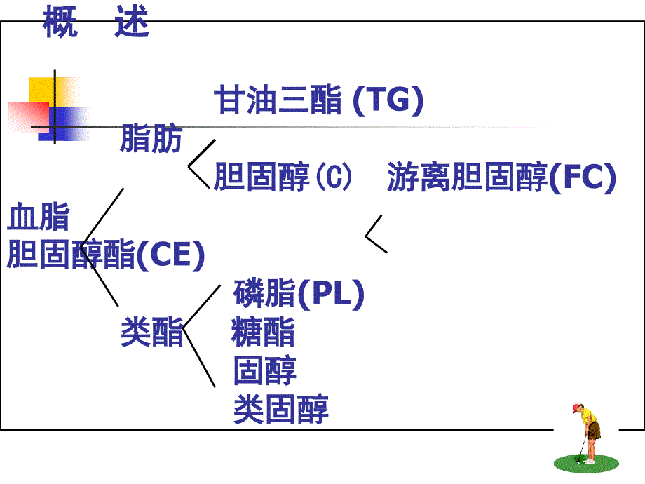 血浆脂蛋白与其代谢紊乱_第2页