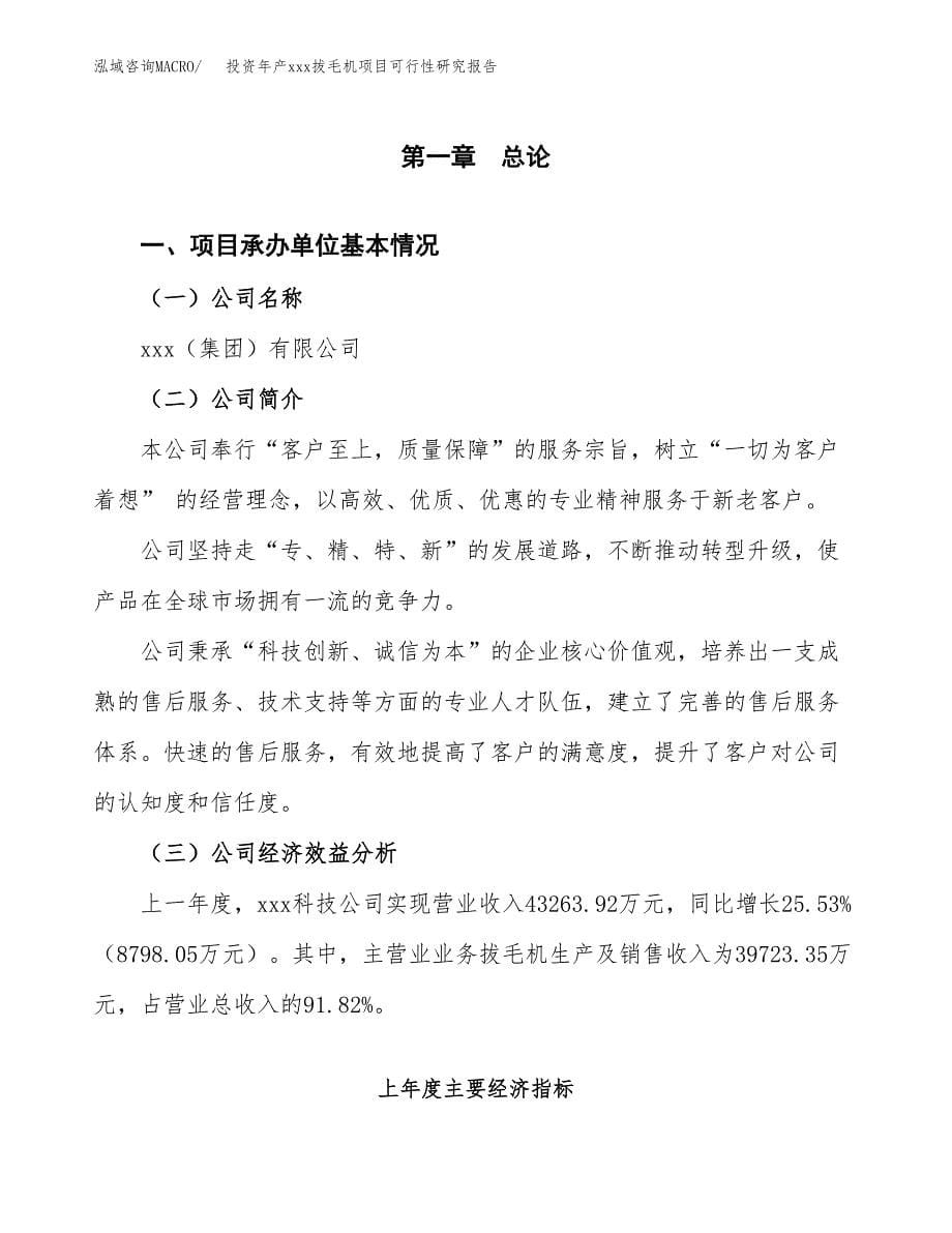 投资年产xxx拔毛机项目可行性研究报告_第5页