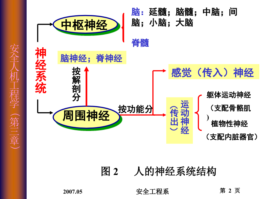 生理与心理_第2页