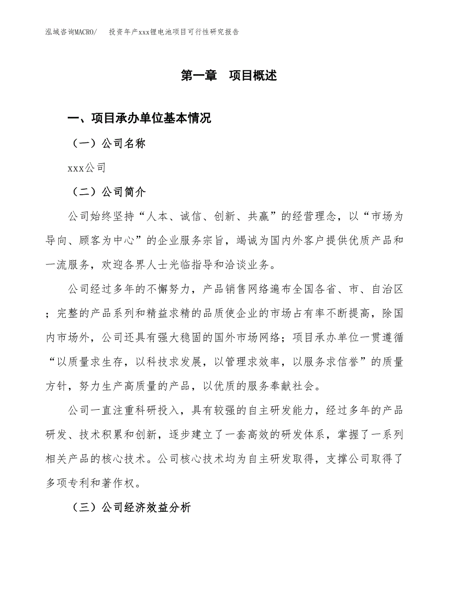 投资年产xxx锂电池项目可行性研究报告_第4页