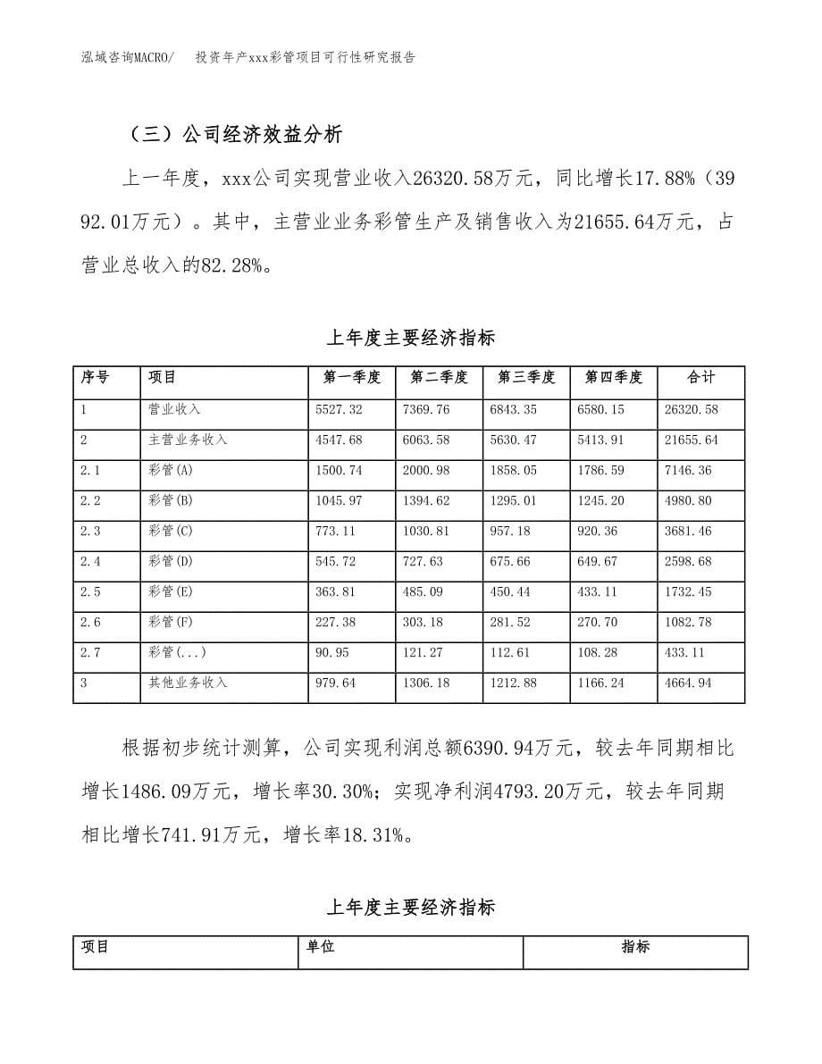 投资年产xxx彩管项目可行性研究报告_第5页