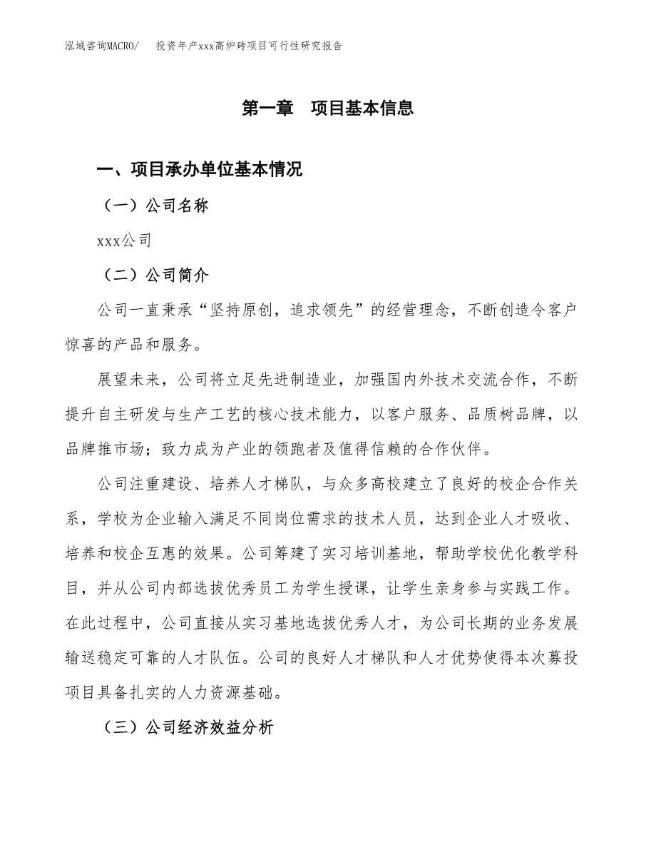 投资年产xxx高炉砖项目可行性研究报告_第5页