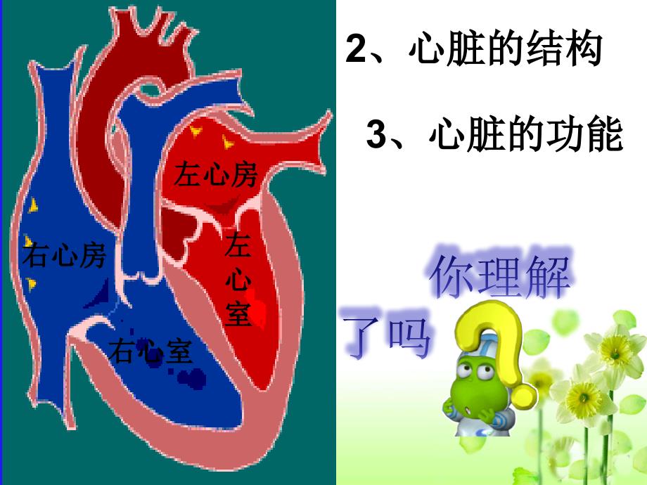 五年级上册科学课件－1.2 心脏和血管｜湘教版 (共11张PPT)_第4页