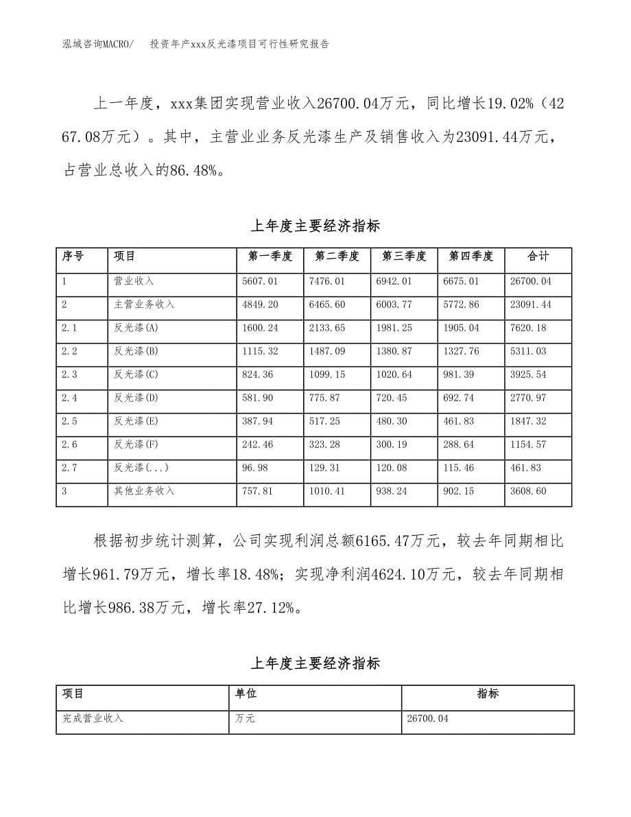 投资年产xxx反光漆项目可行性研究报告_第5页