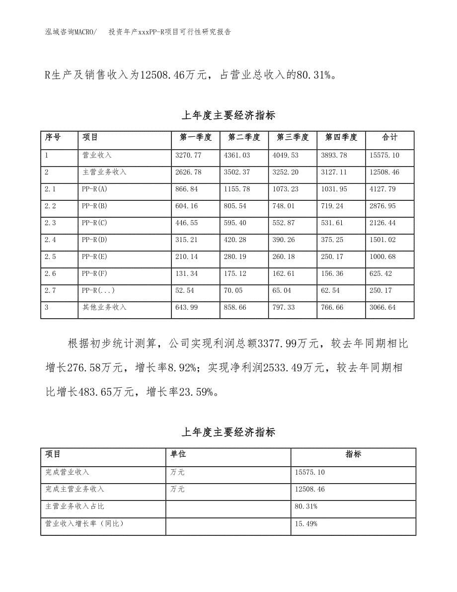 投资年产xxxPP-R项目可行性研究报告_第5页