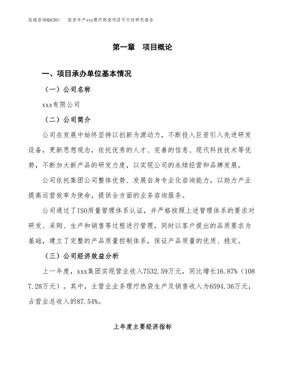 投资年产xxx理疗热袋项目可行性研究报告_第4页