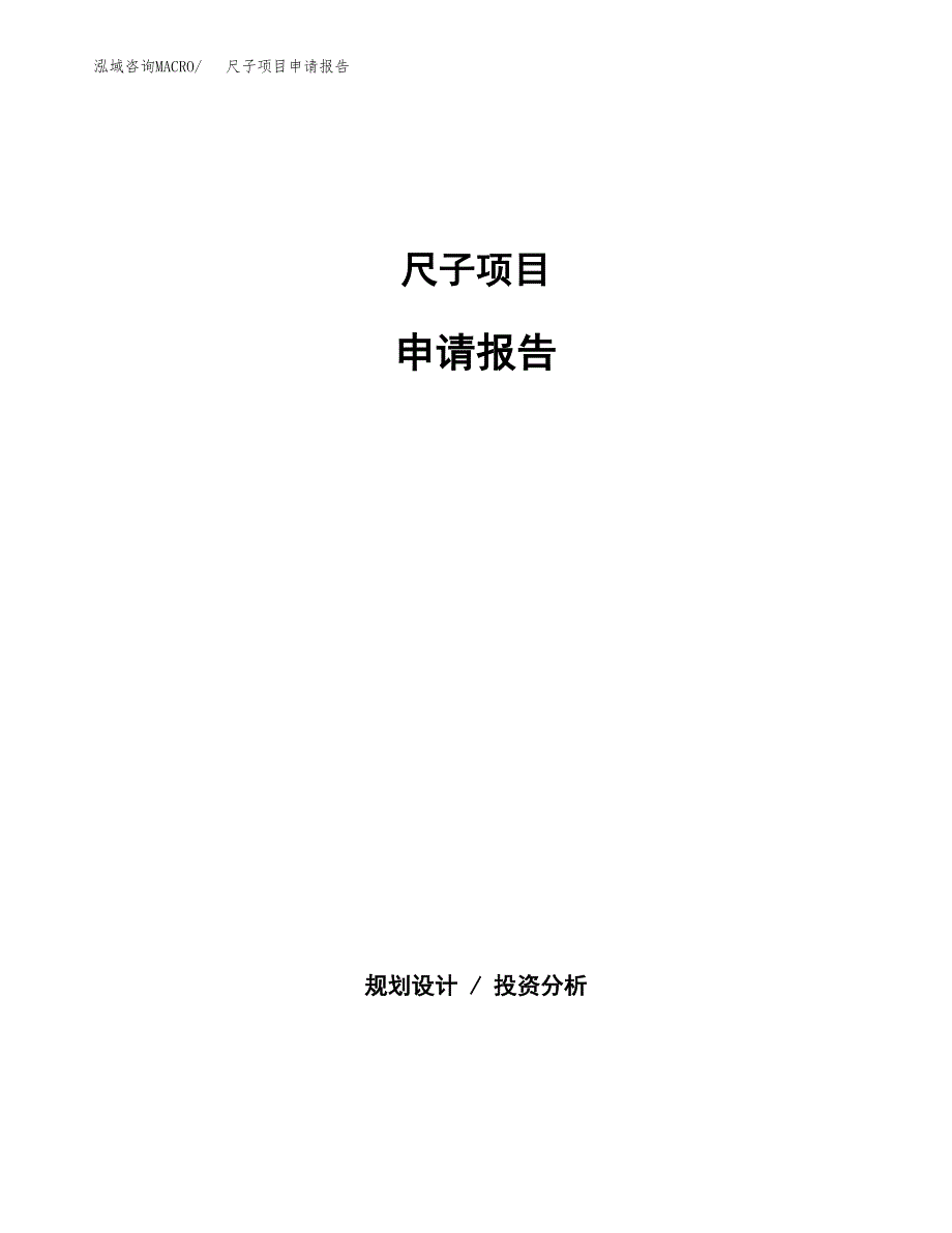 尺子项目申请报告(word可编辑).docx_第1页