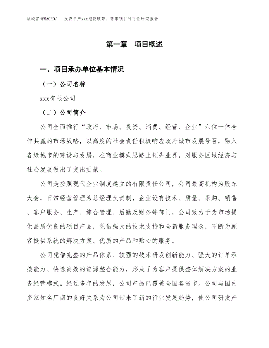 投资年产xxx抱婴腰带、背带项目可行性研究报告_第4页