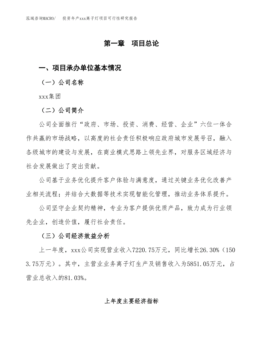 投资年产xxx离子灯项目可行性研究报告_第4页