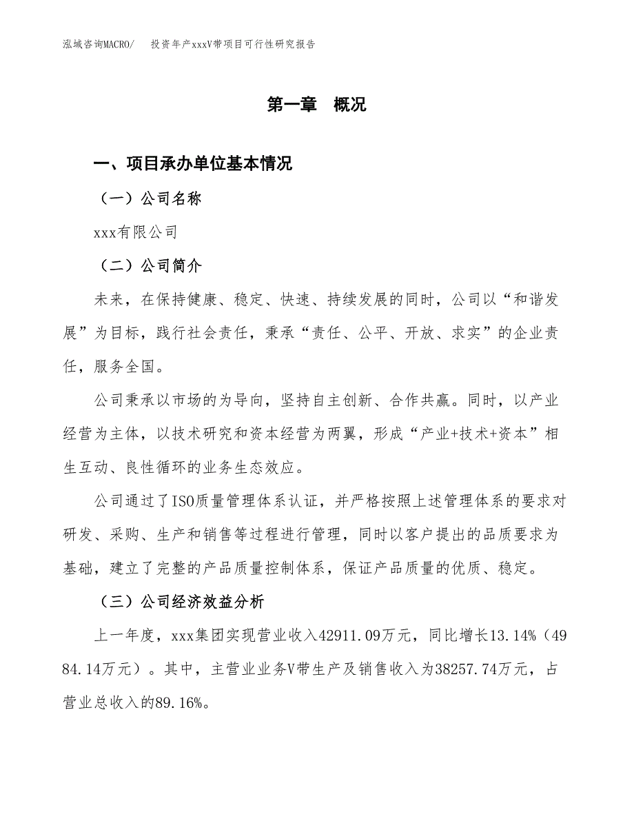 投资年产xxxV带项目可行性研究报告_第4页