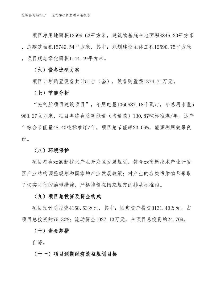 充气胎项目立项申请报告(word可编辑).docx_第5页