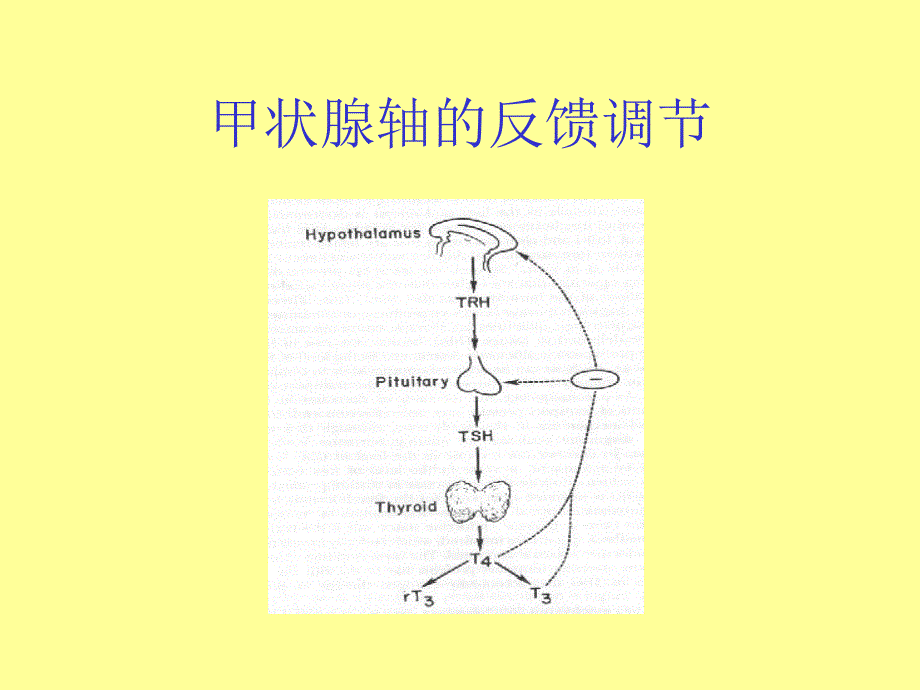 亚临床甲状腺疾病治疗_第2页