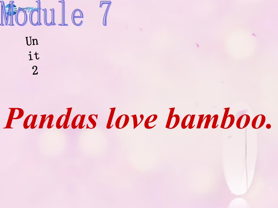 六年级英语上册 module 7 unit 1 pandas love bamboo课件2 外研版（一起）_第1页