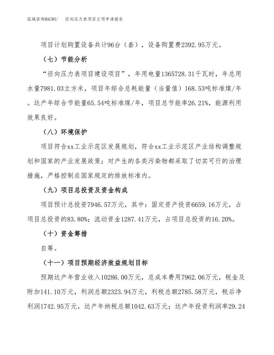 径向压力表项目立项申请报告(word可编辑).docx_第5页