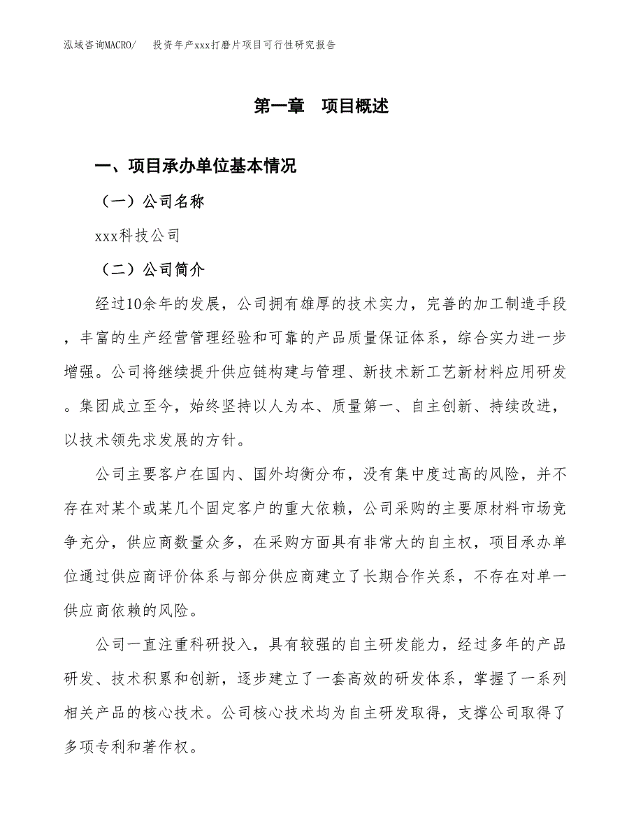 投资年产xxx打磨片项目可行性研究报告_第4页