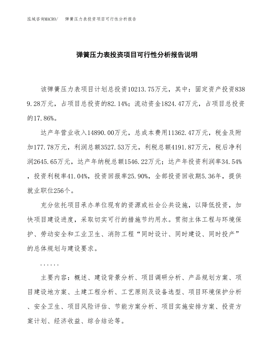 弹簧压力表投资项目可行性分析报告word可编辑.docx_第2页