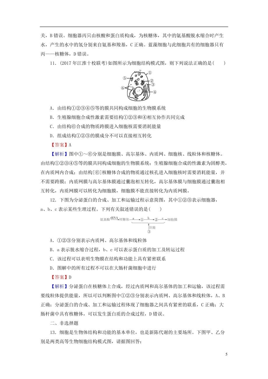 2019高考生物大一轮复习 第2单元 细胞的结构与物质的输入和输出 第2讲 细胞器&mdash;&mdash;系统内的分工合作课后提能演练 新人教版必修1_第5页