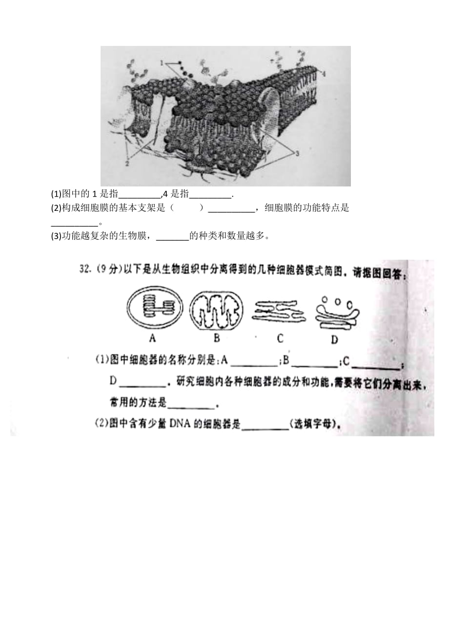 2013年12月内蒙古自治区普通高中学业水平考试(b5版)_第4页