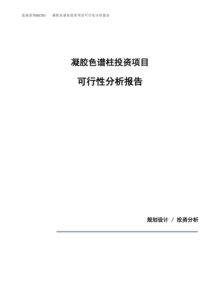 凝胶色谱柱投资项目可行性分析报告word可编辑.docx_第1页