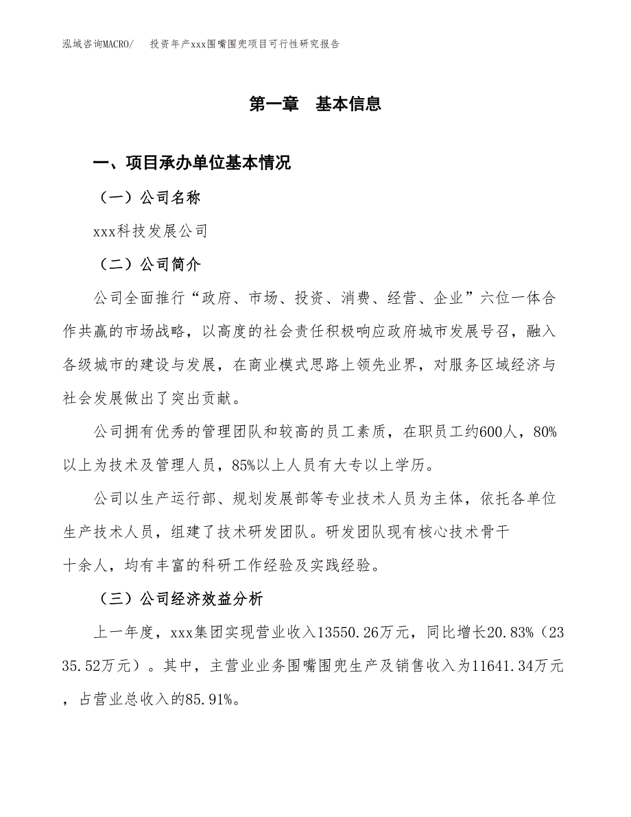 投资年产xxx围嘴围兜项目可行性研究报告_第4页