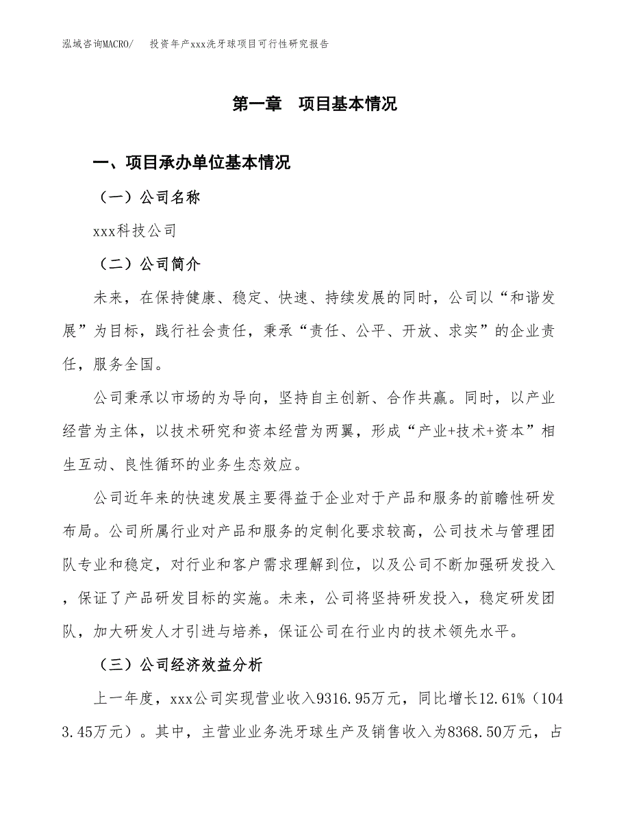 投资年产xxx洗牙球项目可行性研究报告_第4页