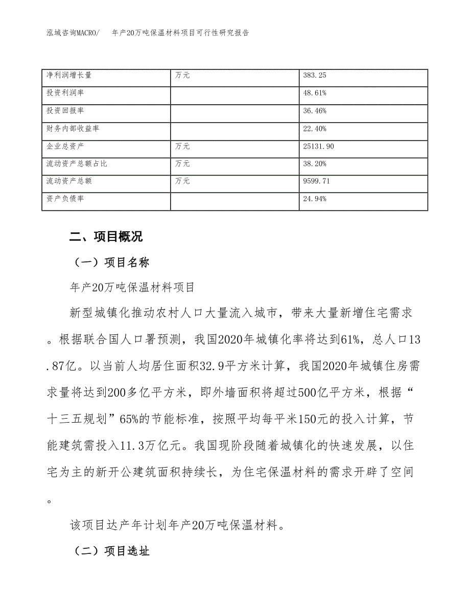 年产20万吨保温材料项目可行性研究报告（项目申请）_第5页