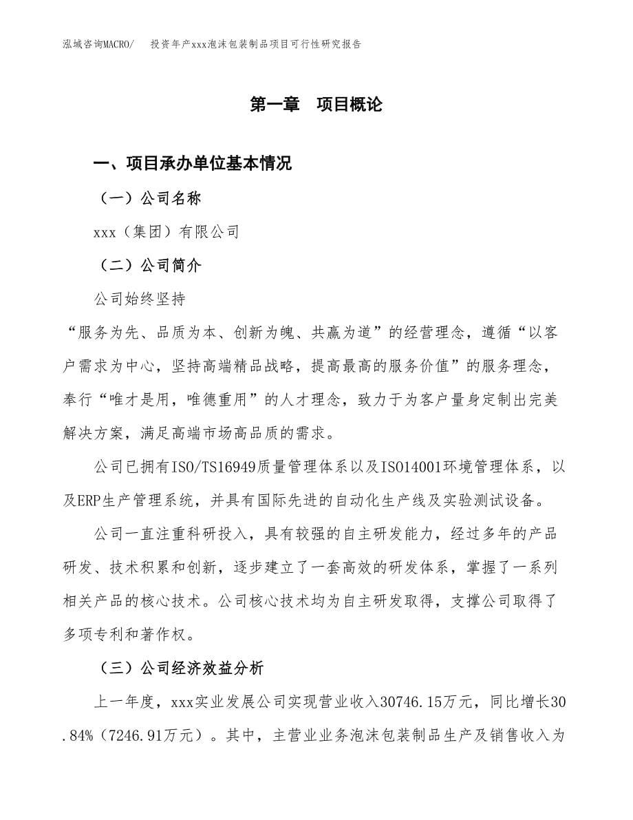 投资年产xxx泡沫包装制品项目可行性研究报告_第5页