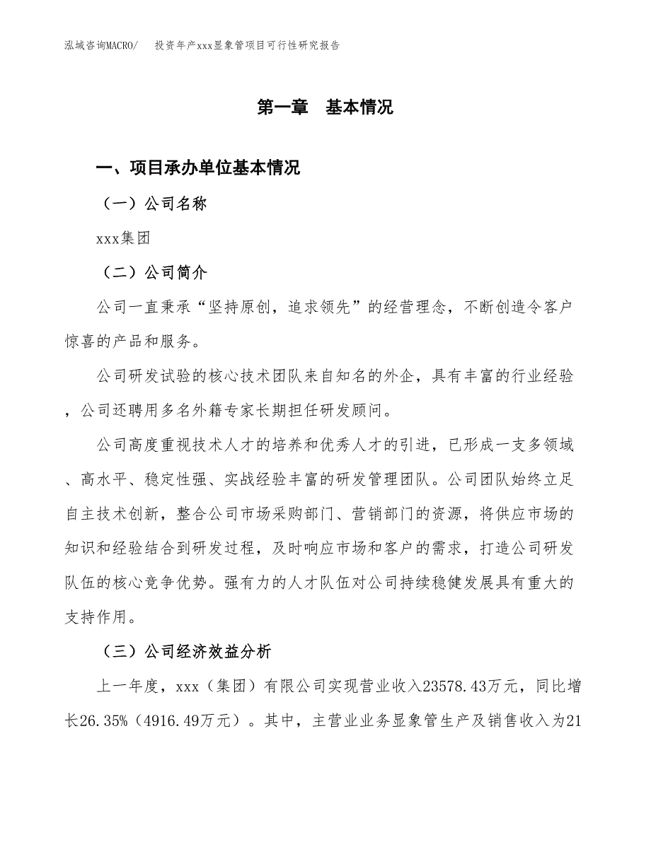 投资年产xxx显象管项目可行性研究报告_第4页