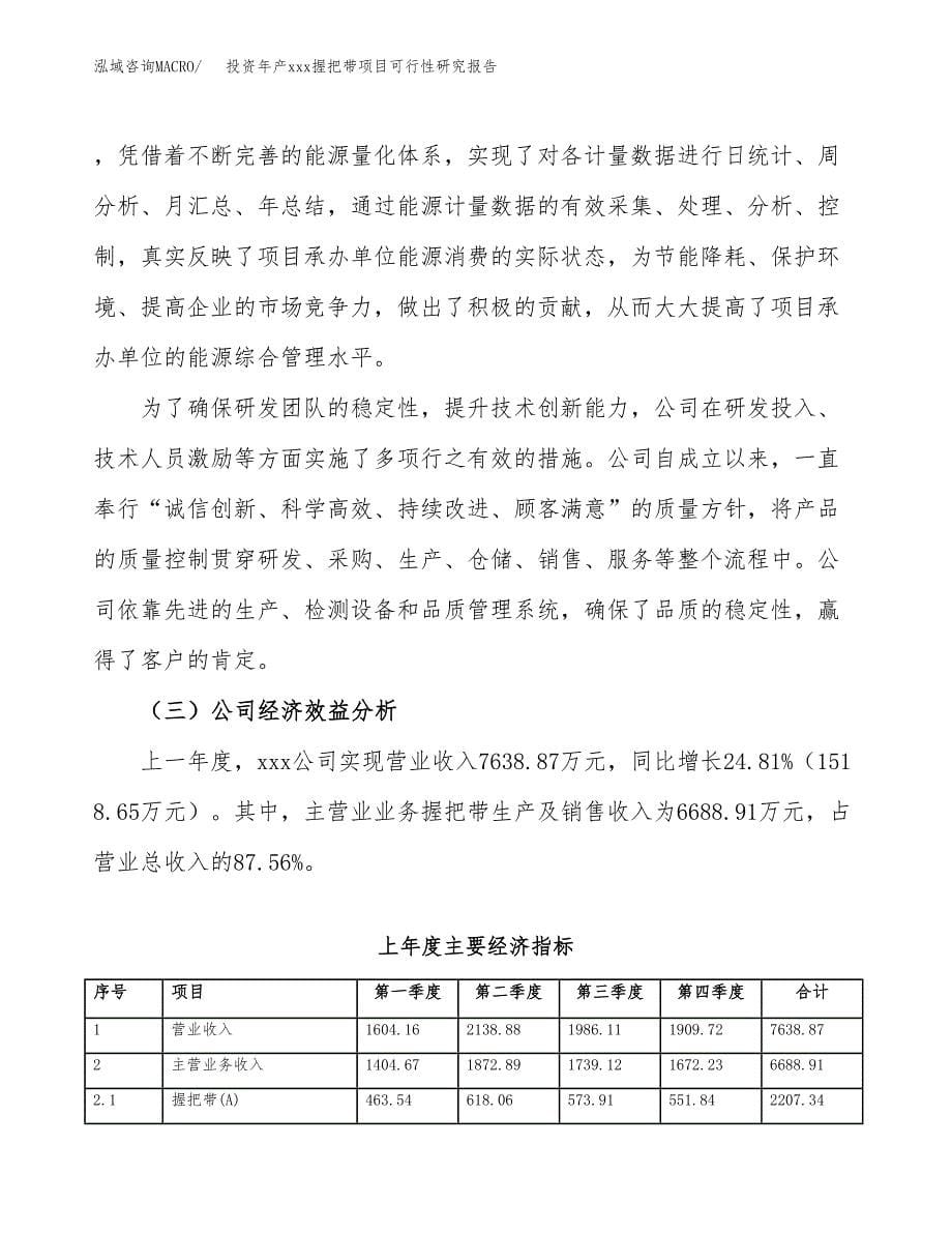 投资年产xxx握把带项目可行性研究报告_第5页