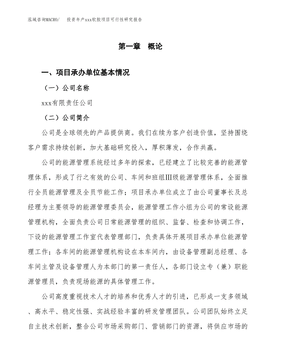 投资年产xxx软胶项目可行性研究报告_第4页