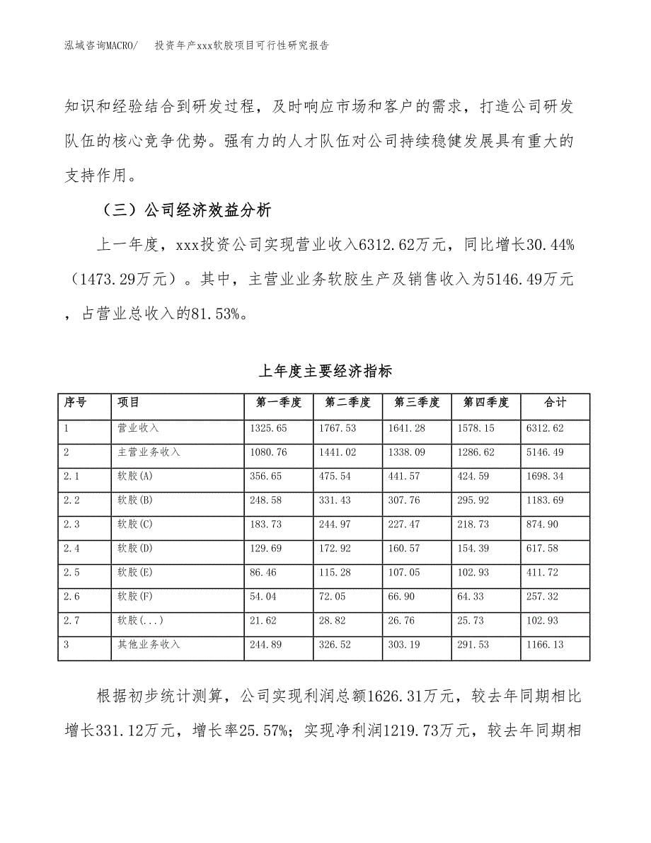 投资年产xxx软胶项目可行性研究报告_第5页