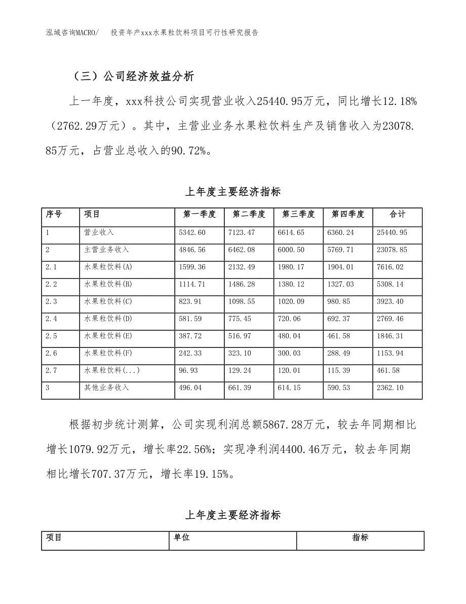 投资年产xxx水果粒饮料项目可行性研究报告_第5页