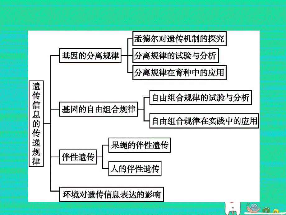 2018-2019高中生物 第4章 遗传信息的传递规律本章整合课件 北师大版必修2_第3页